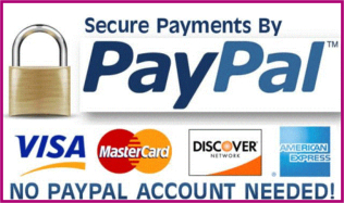 PayPal Secure Payment